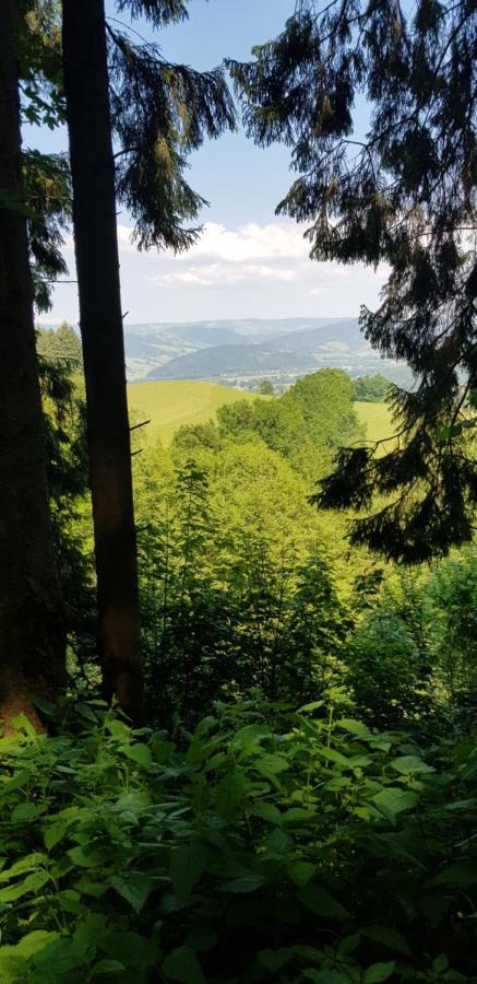 Gasthaus Sternen Post أوبيريد المظهر الخارجي الصورة